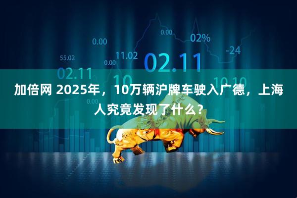 加倍网 2025年，10万辆沪牌车驶入广德，上海人究竟发现了什么？
